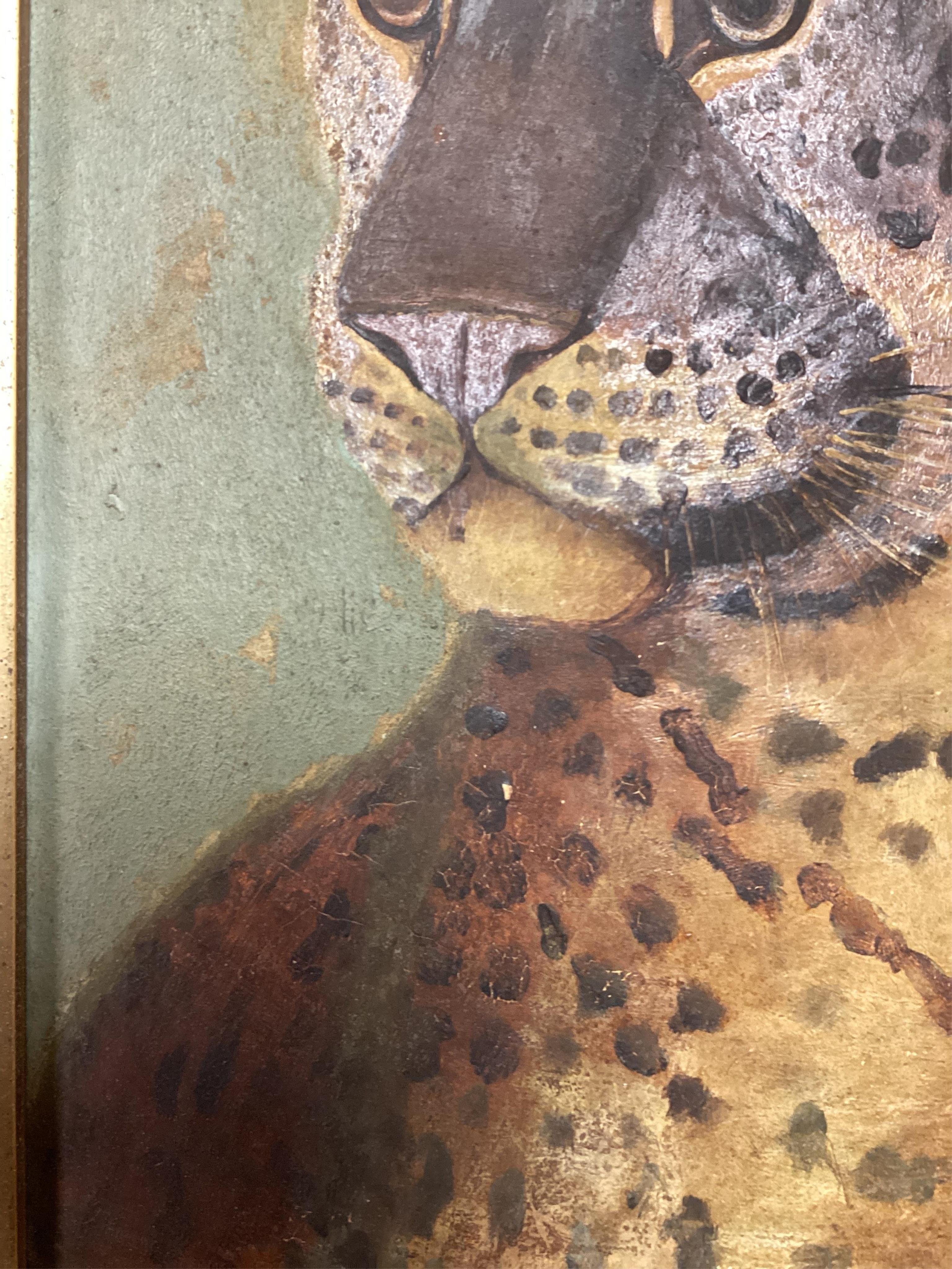 Early 20th century, oil on board, Study of a Leopard, unsigned, 29 x 21cm, gilt framed. Condition - poor to fair